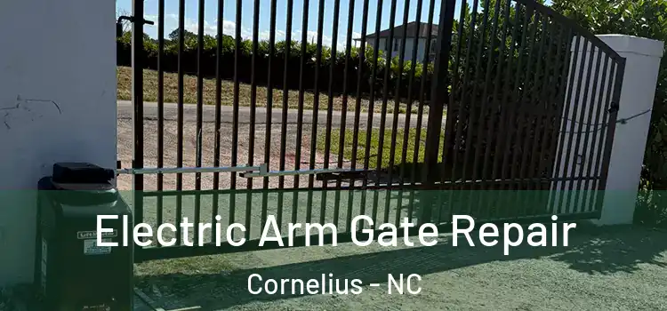 Electric Arm Gate Repair Cornelius - NC