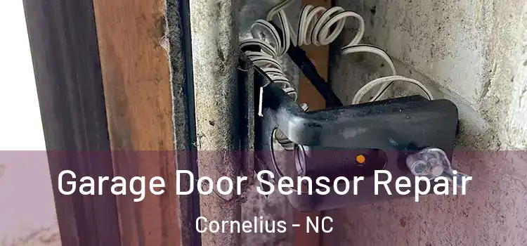 Garage Door Sensor Repair Cornelius - NC