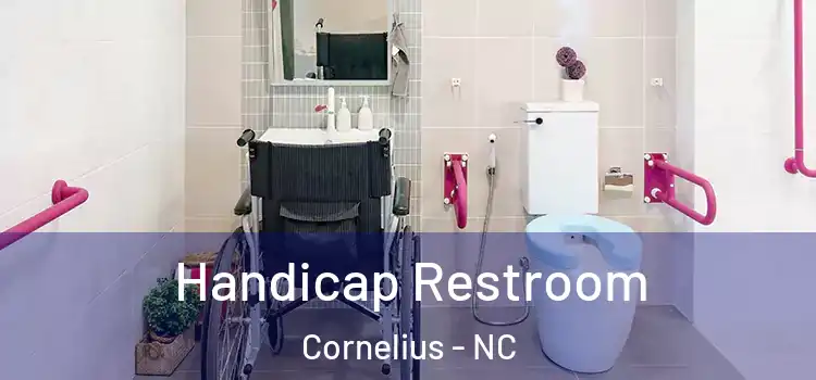 Handicap Restroom Cornelius - NC