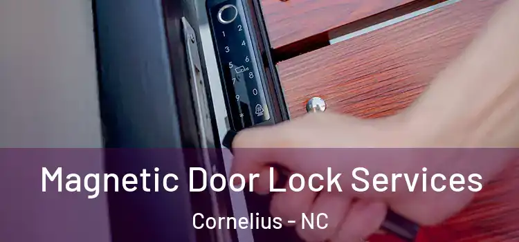 Magnetic Door Lock Services Cornelius - NC