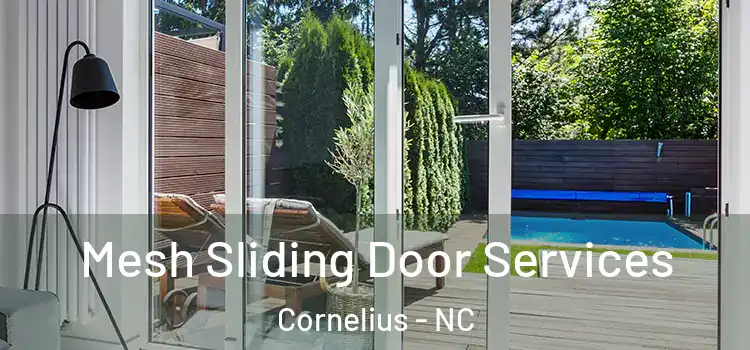Mesh Sliding Door Services Cornelius - NC